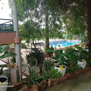 https://casa-rural-complex-masia-del-tremendo.catalonia-hotels.com
